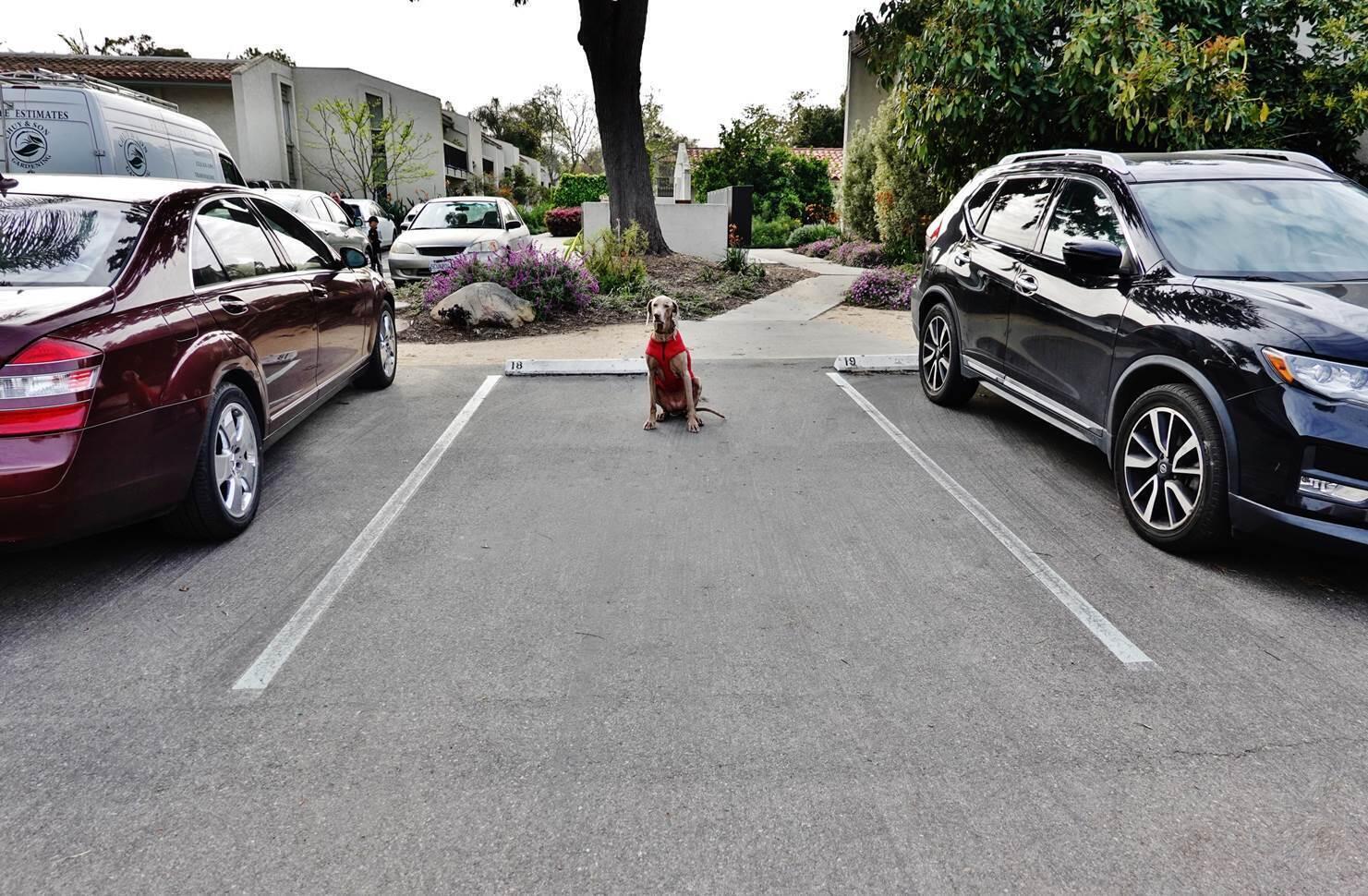 47 Dearborn Place, Unit 18 Goleta, CA 93117 - Photo 40 of 42 20251018200500763695000000-o