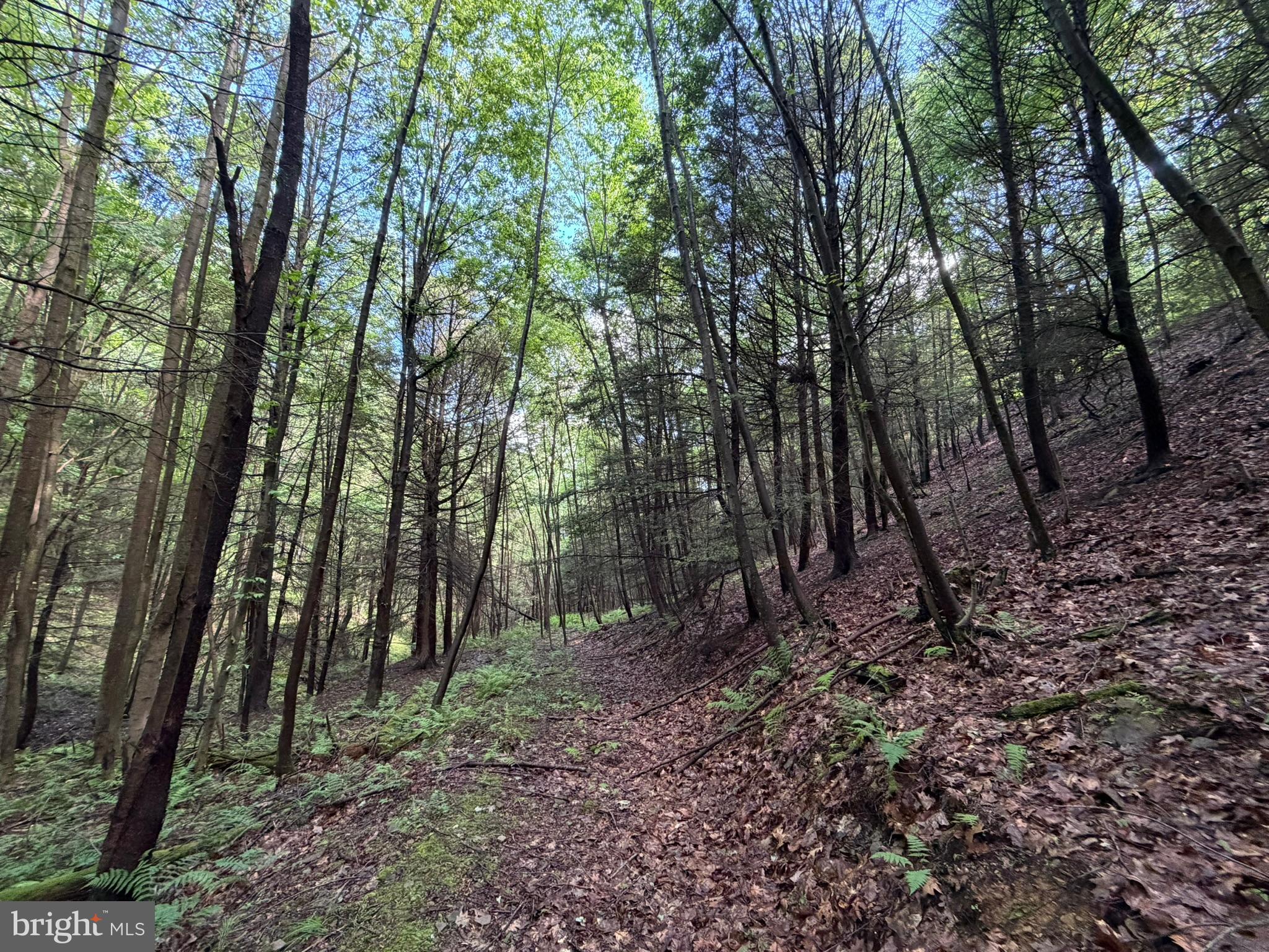 848 Sugar Camp Road Clearfield, PA 16830 - Photo 95 of 118