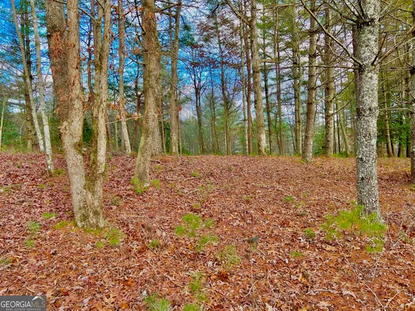 a view of a yard with trees