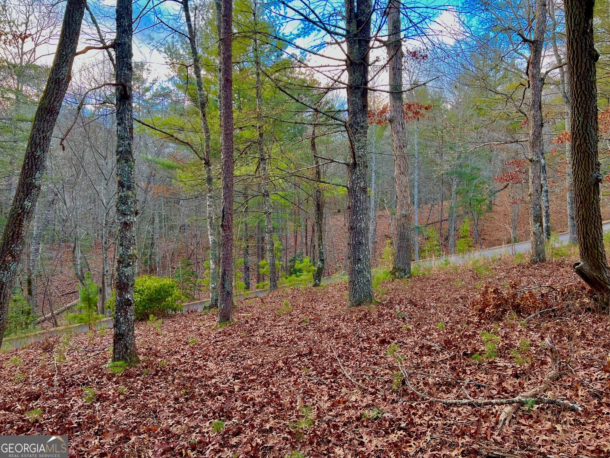 0 Hawks View Morganton, GA 30560 - Photo 15 of 21 a view of a backyard