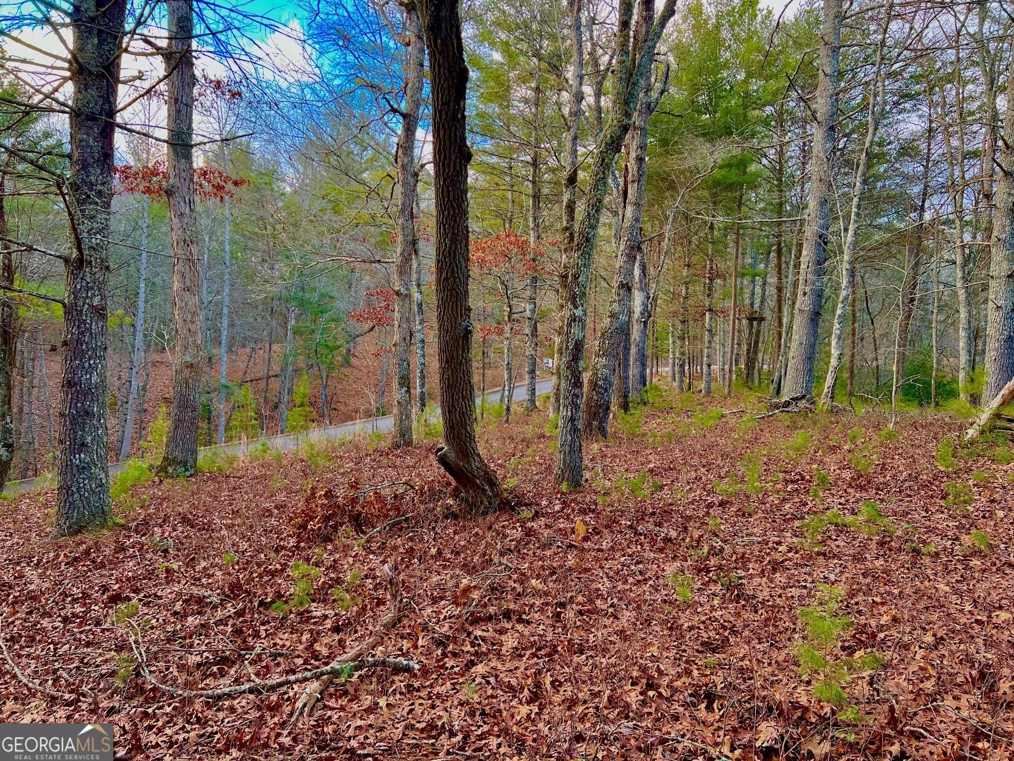 0 Hawks View Morganton, GA 30560 - Photo 16 of 21 a backyard of a house with lots of green space