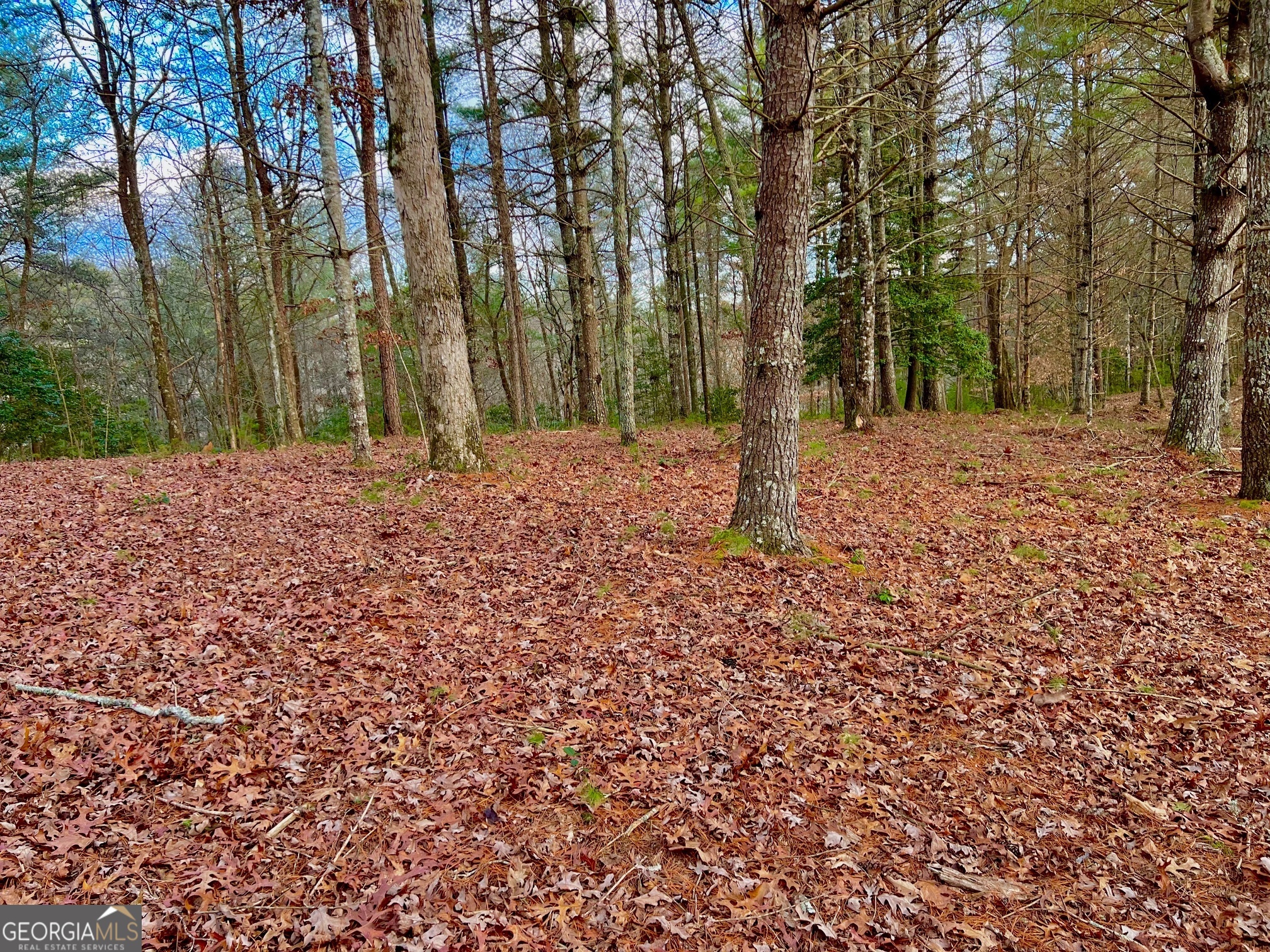 0 Hawks View Morganton, GA 30560 - Photo 17 of 21 a backyard of a house with lots of green space