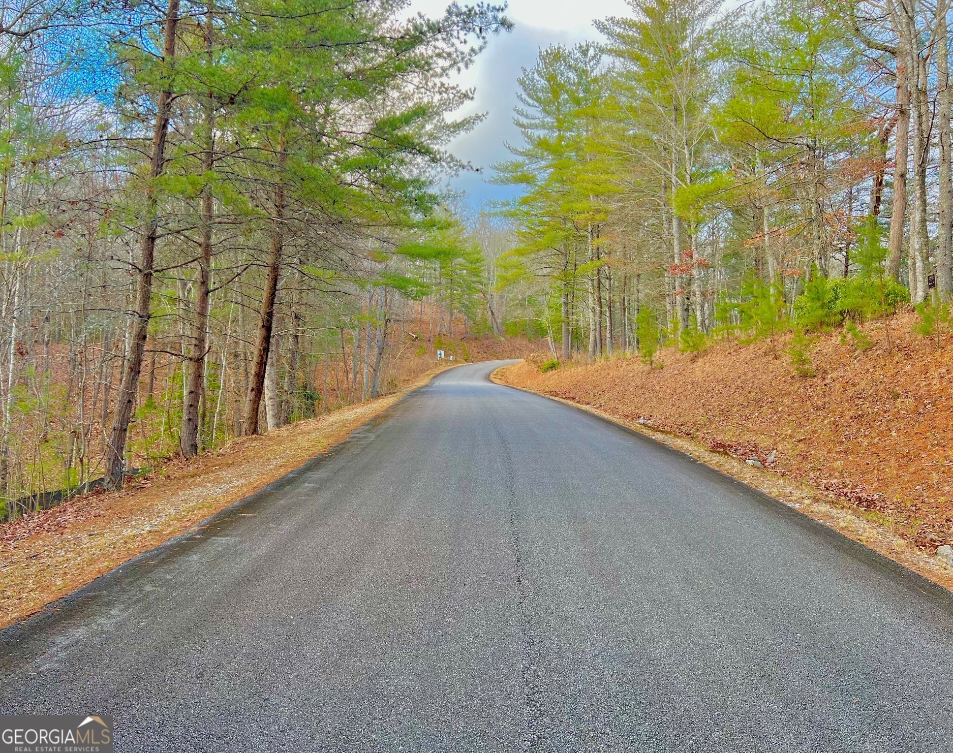 0 Hawks View Morganton, GA 30560 - Photo 3 of 21 a view of a street view