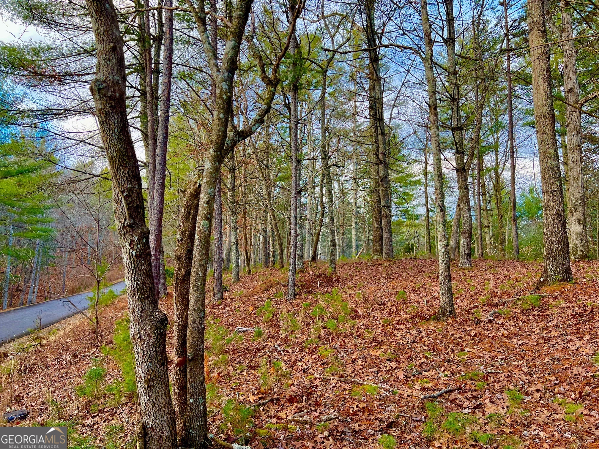 0 Hawks View Morganton, GA 30560 - Photo 6 of 21 a backyard of a house with lots of green space