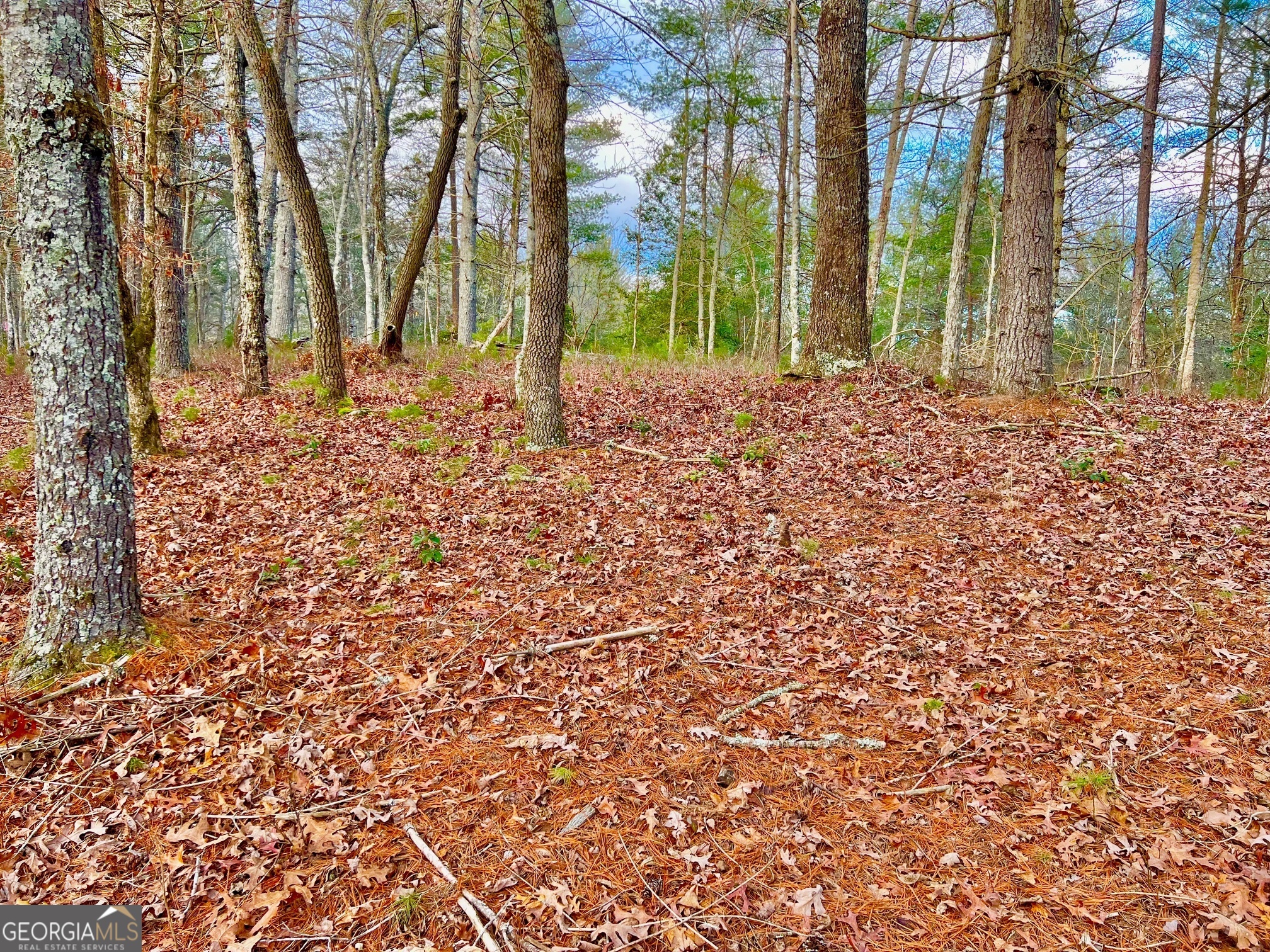 0 Hawks View Morganton, GA 30560 - Photo 7 of 21 a view of a house with a yard