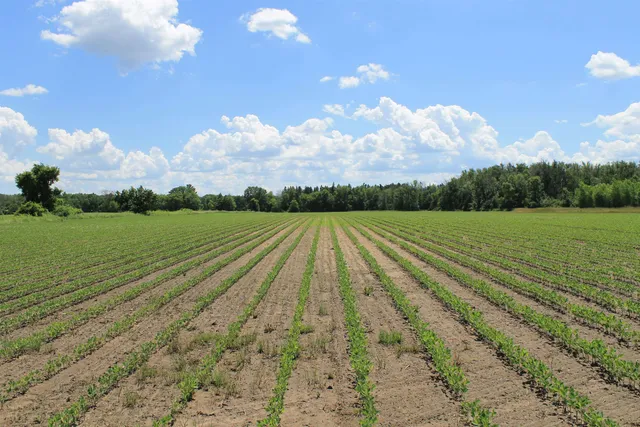 $1,050,000 | Poehlman Road, New London, WI 54961