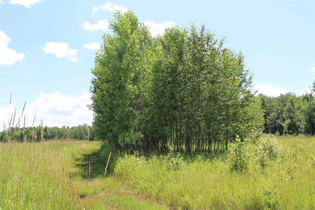 $1,050,000 | Poehlman Road, New London, WI 54961