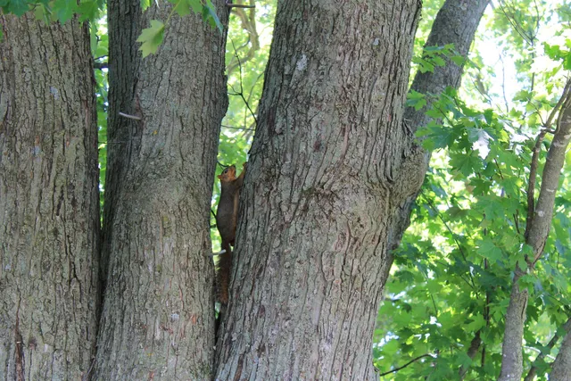 $1,050,000 | Poehlman Road, New London, WI 54961