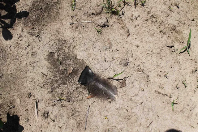 $1,050,000 | Poehlman Road, New London, WI 54961