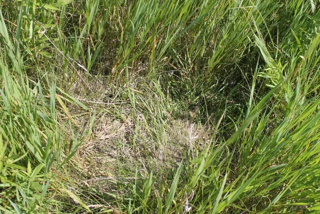 $1,050,000 | Poehlman Road, New London, WI 54961