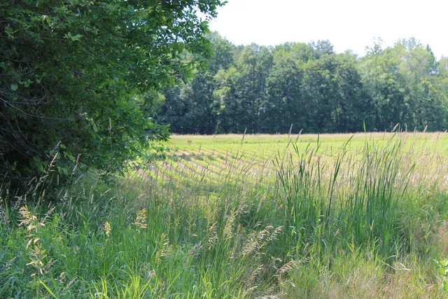 $1,050,000 | Poehlman Road, New London, WI 54961