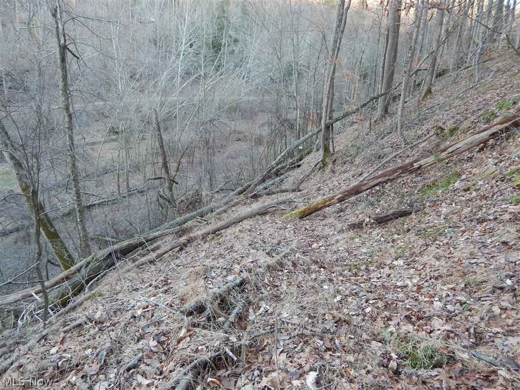 Straight Fork Harrisville, WV 26362 - Photo 11 of 12