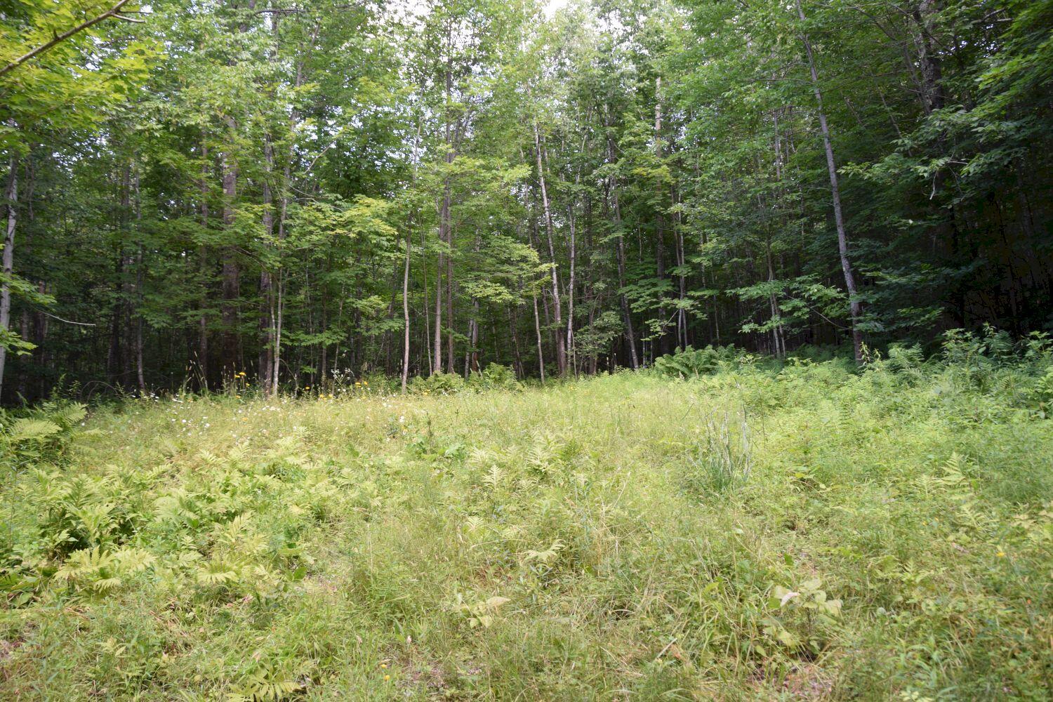 M5-l12&13 East Ridge Road Cornville, ME 04976 - Photo 8 of 12 DSC_0078