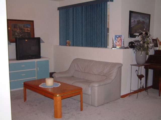 550 South Peace Road, Unit 550 Sycamore, IL 60178 - Photo 10 of 12 a living room with furniture and a potted plant