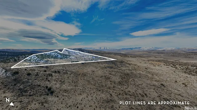 a view of a dry yard