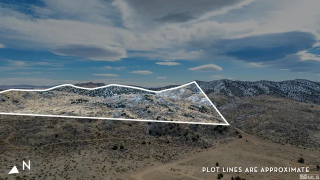 a view of a very nice looking yard