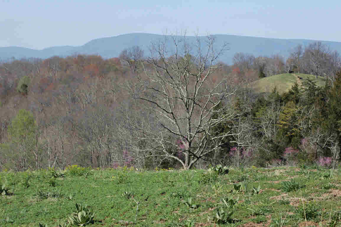 Lot J Springdale Road Pearisburg, VA 24134 - Photo 39 of 51 Gallery Image 39