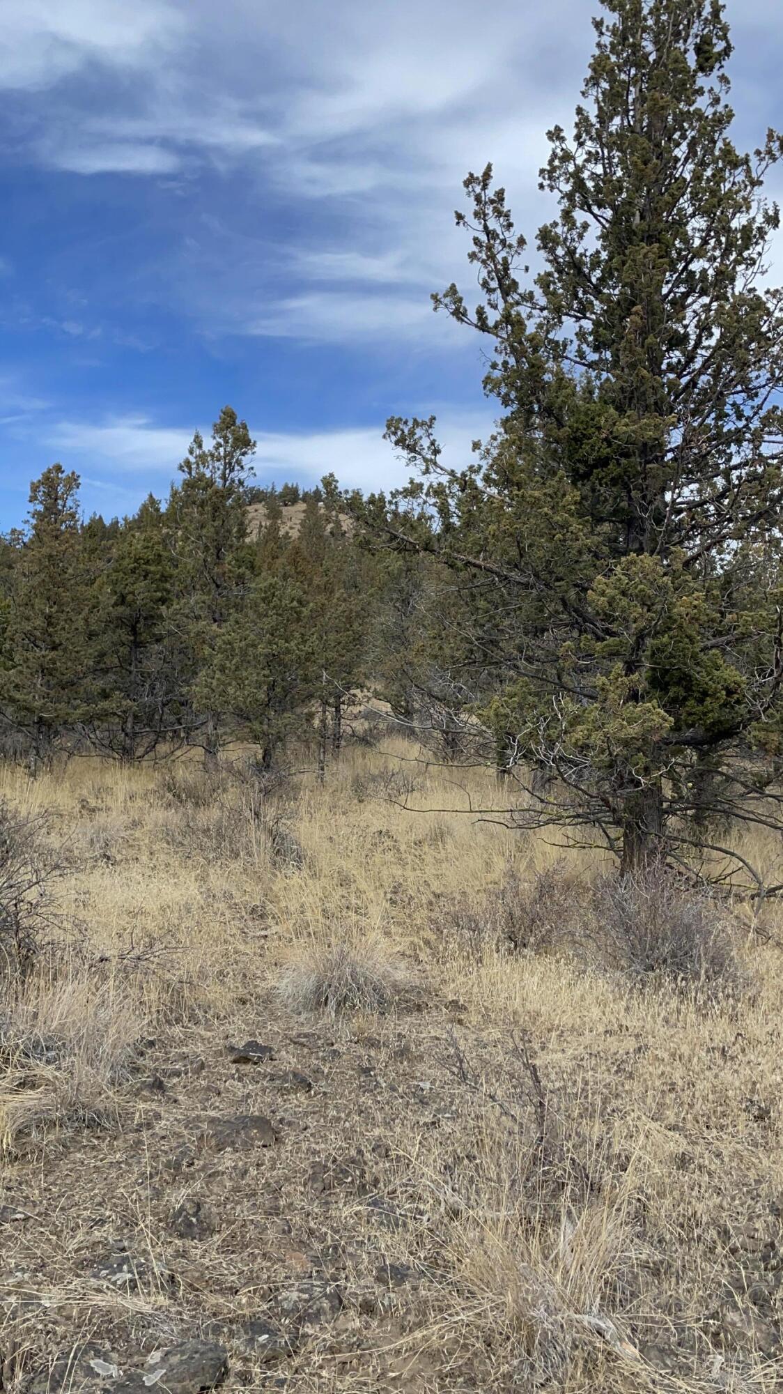 Southeast Simpson Road, Unit TL205 Prineville, OR 97754 - Photo 2 of 4 Uphill View