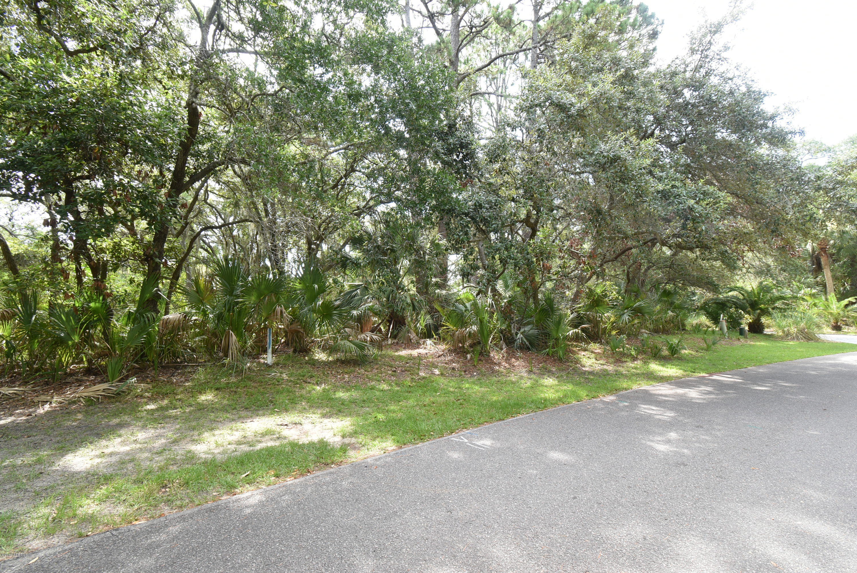 15 Fiddlers Trce Road Fripp Island, SC 29920 - Photo 12 of 12 DSC_0201