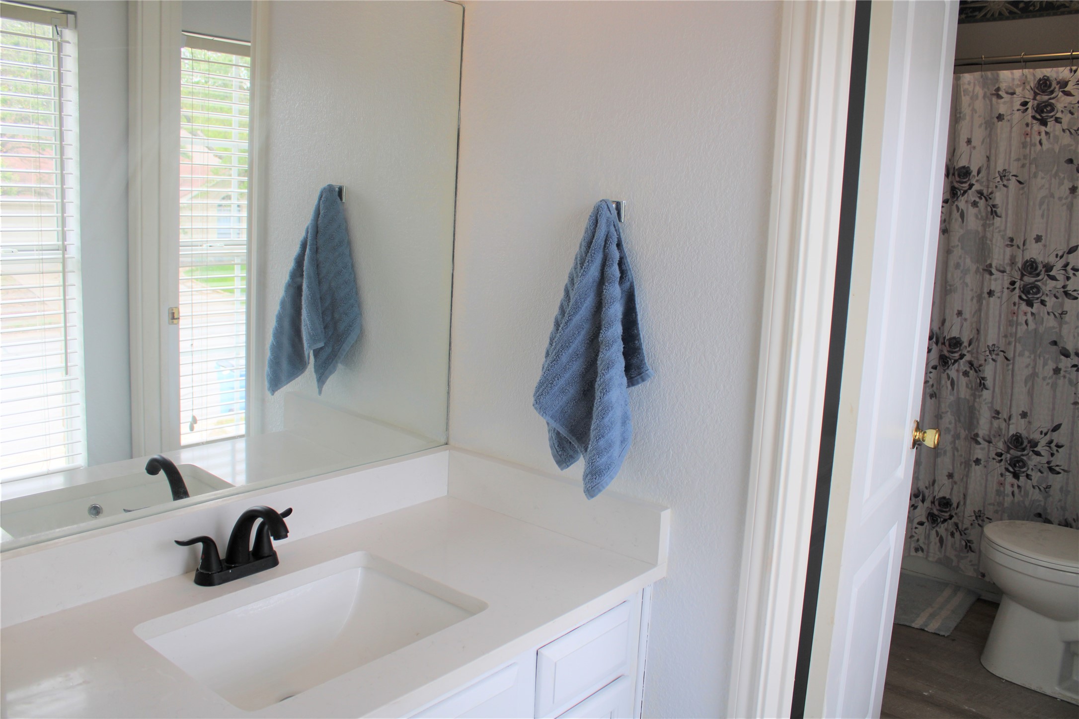 16205 Glorious Lane Pflugerville, TX 78660 - Photo 24 of 30 a bathroom with a sink and a large mirror