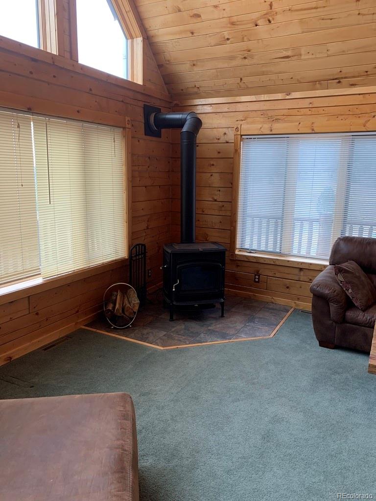 486 Sombrero Road Hartsel, CO 80449 - Photo 4 of 24