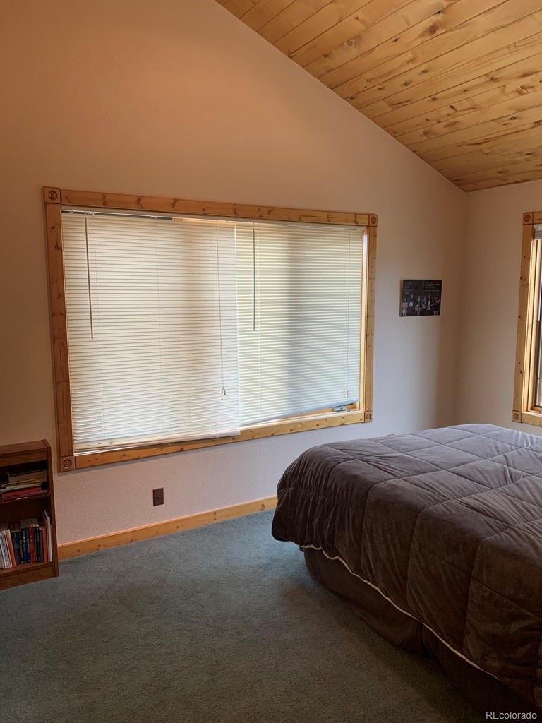 486 Sombrero Road Hartsel, CO 80449 - Photo 9 of 24