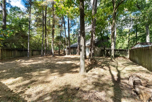 a view of a yard with plants and trees
