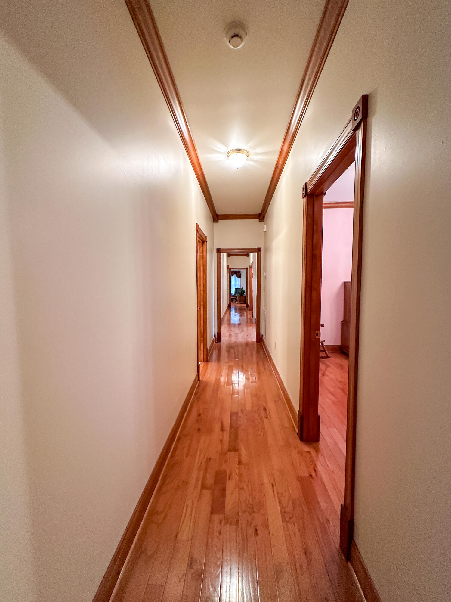 305 Lynn Camp School Road Corbin, KY 40701 - Photo 52 of 68 LightroomRealEstateEdits-39