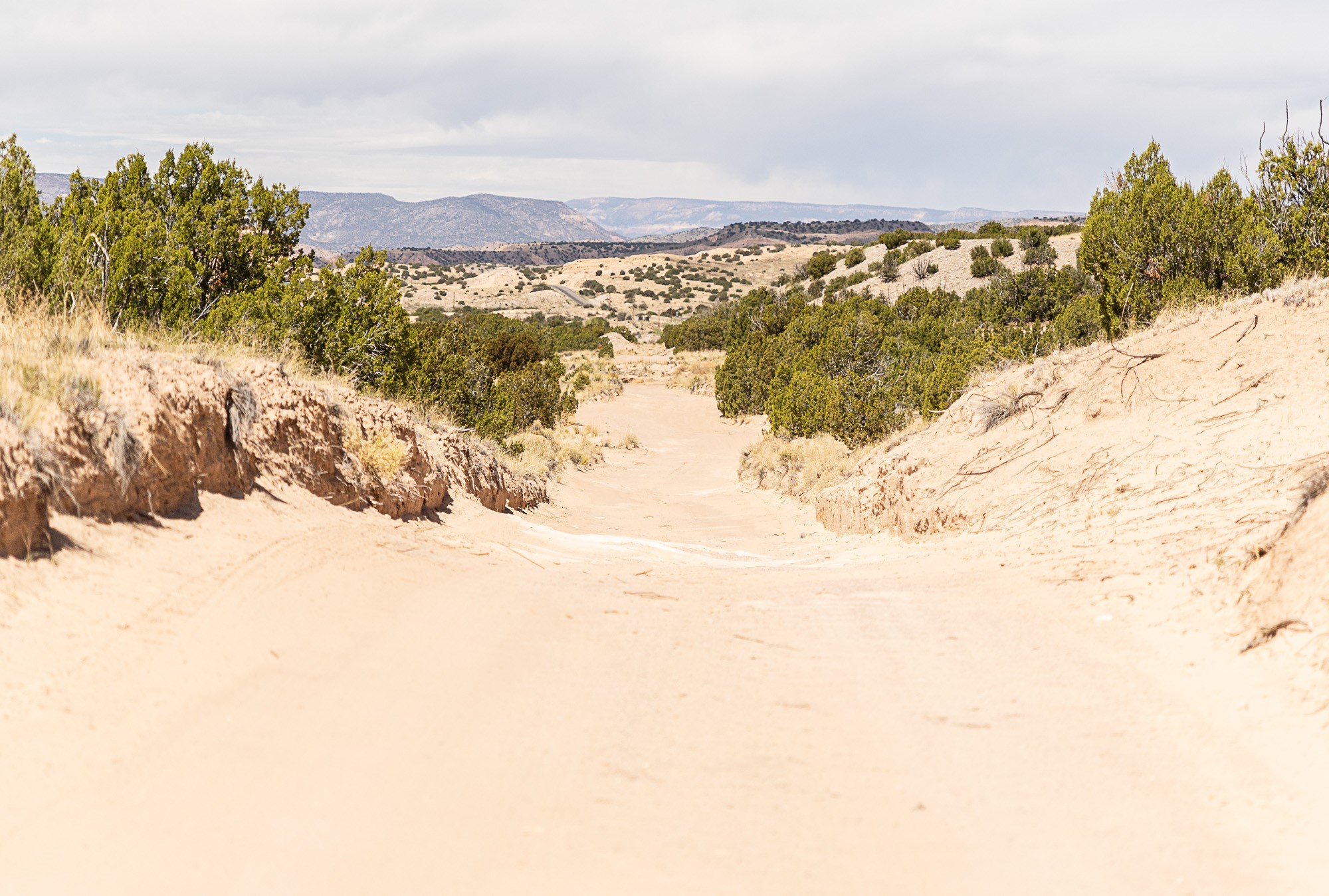 0 El Rito Estates Abiquiu, NM 87510 - Photo 15 of 56 Fort Delfino access