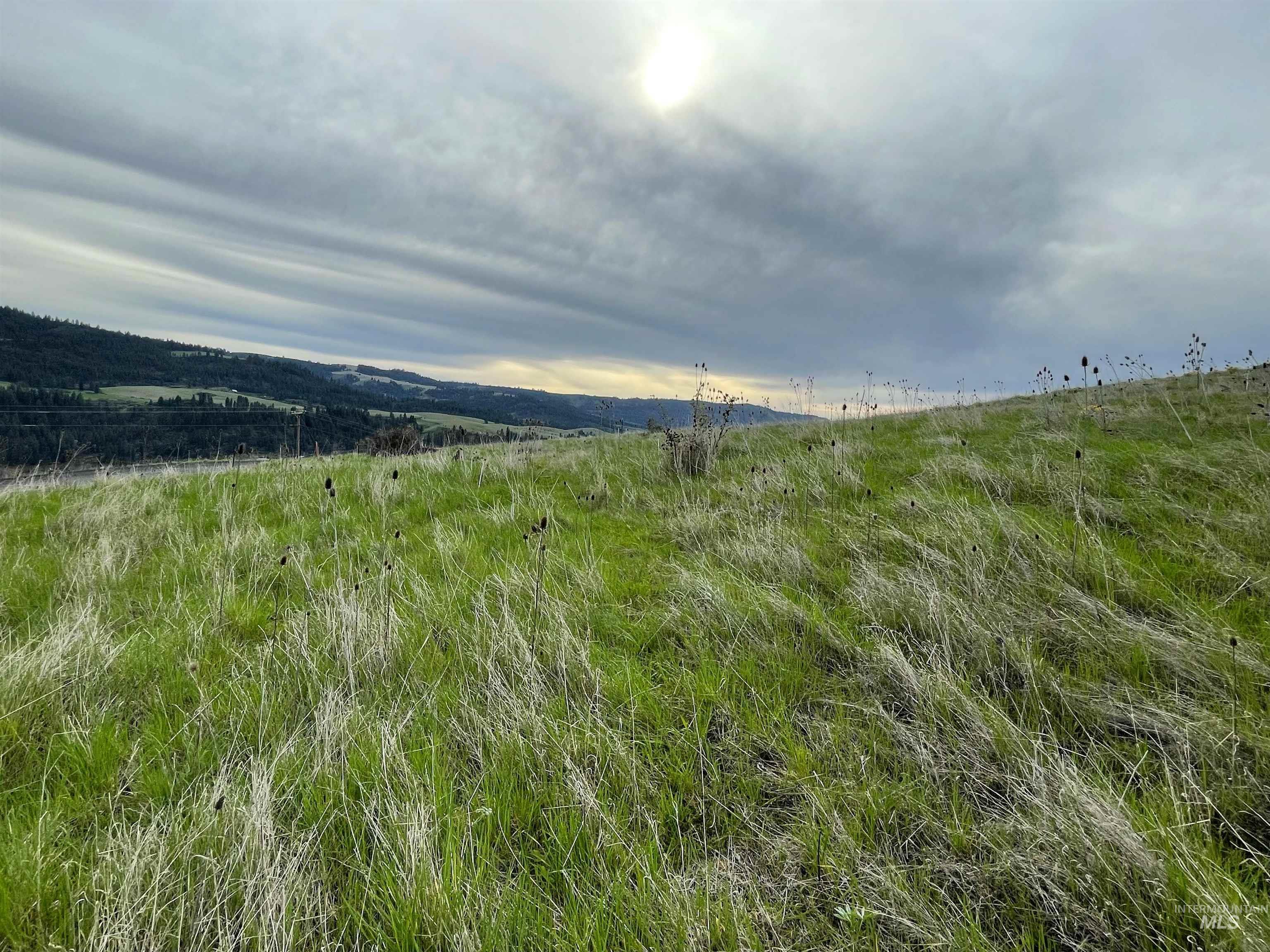 Tbd Tbd Starthistle Lane Lenore, ID 83541 - Photo 3 of 7