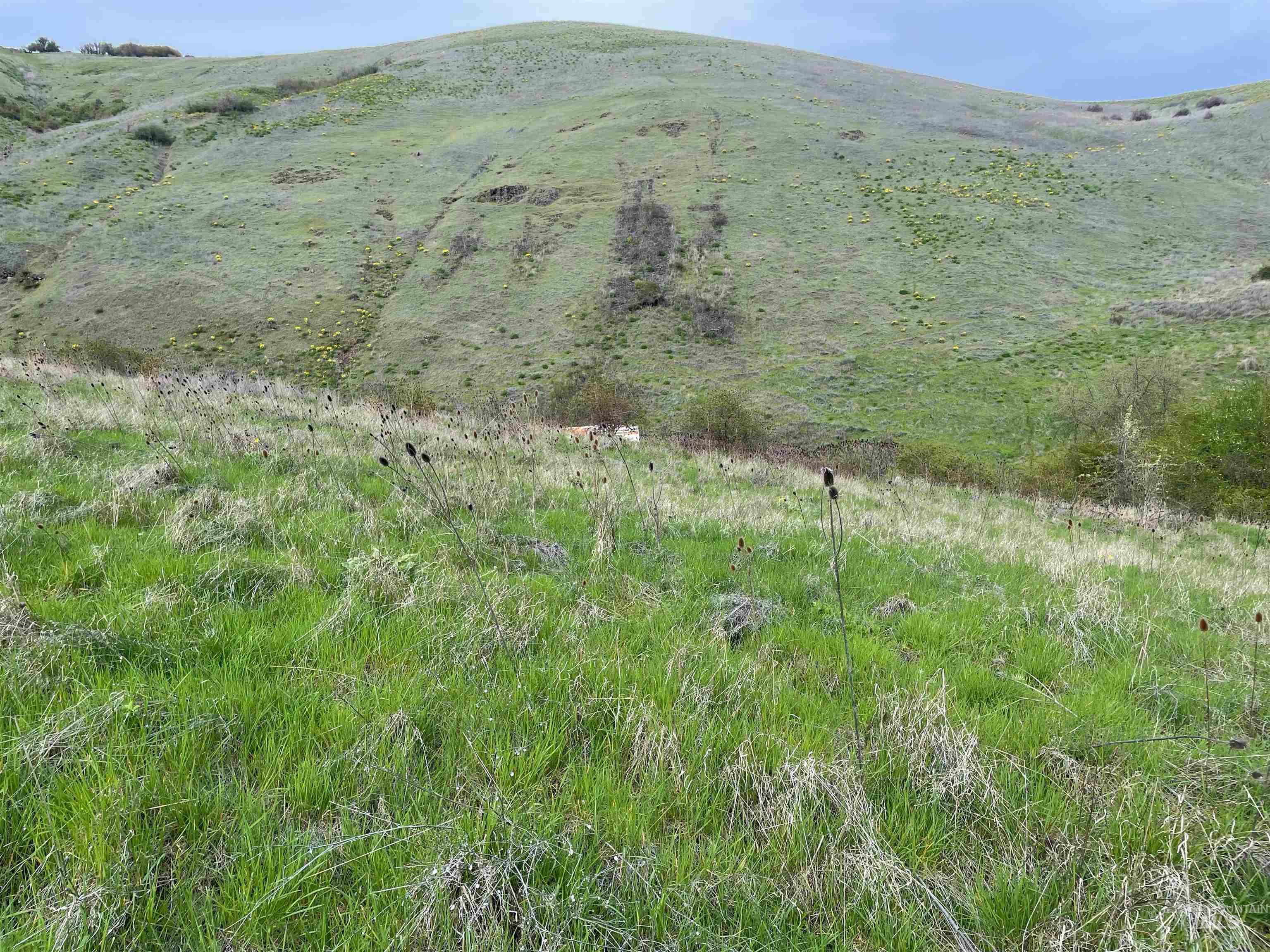 Tbd Tbd Starthistle Lane Lenore, ID 83541 - Photo 7 of 7