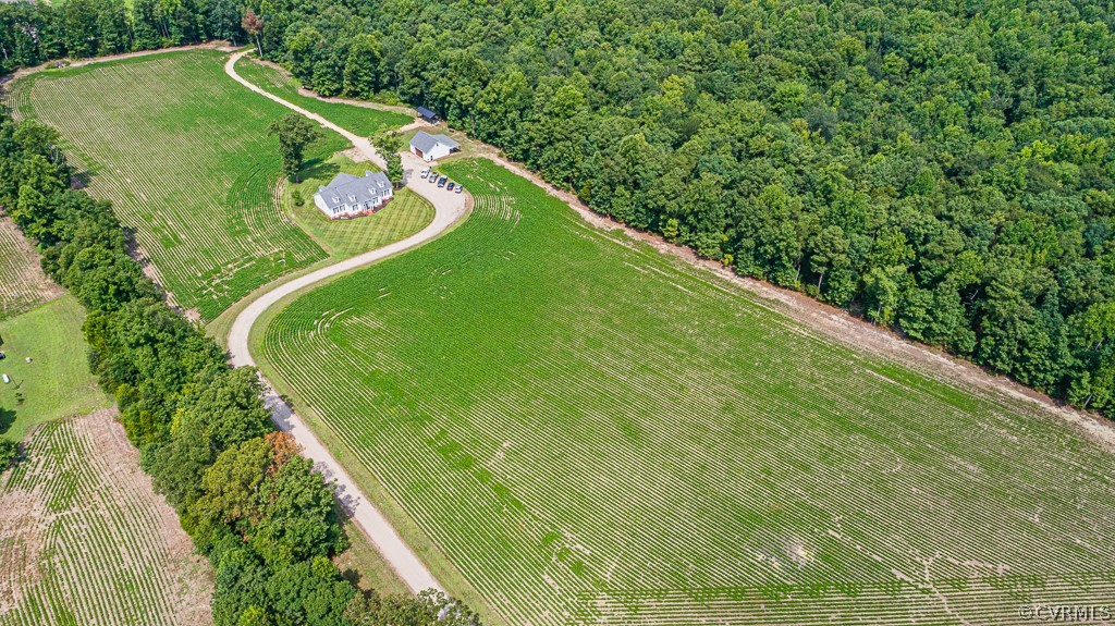 230 Dabney Road Aylett, VA 23009 - Photo 3 of 40 Gallery Image 3