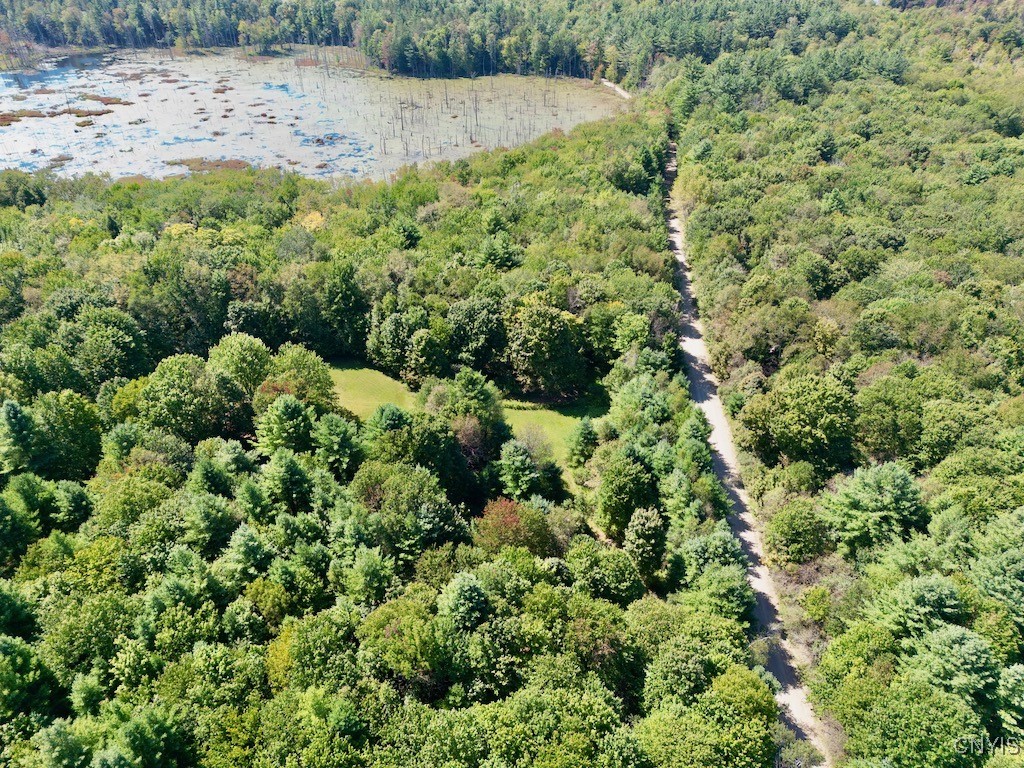 0 Austin Road Altmar, NY 13302 - Photo 2 of 8