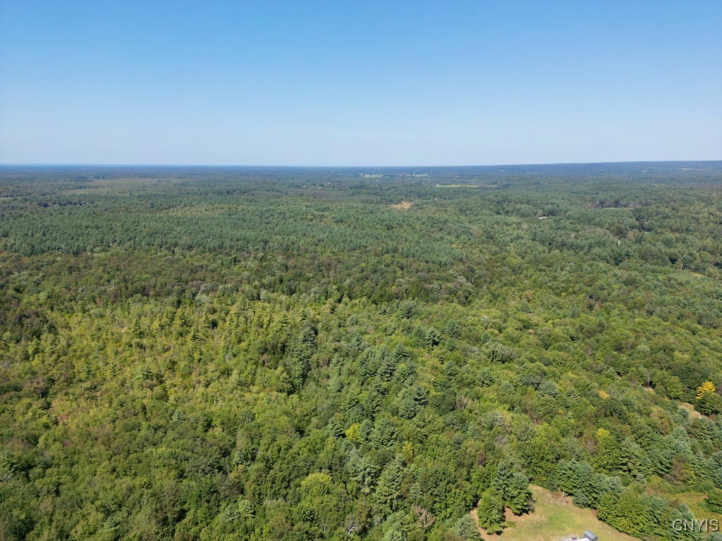 0 Austin Road Altmar, NY 13302 - Photo 3 of 8