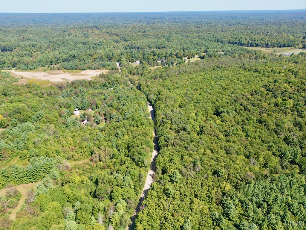 0 Austin Road Altmar, NY 13302 - Photo 4 of 8