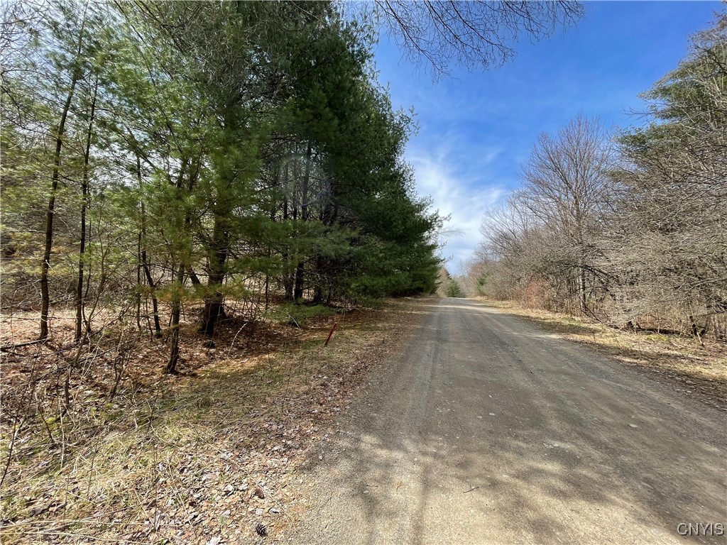 0 Austin Road Altmar, NY 13302 - Photo 5 of 8