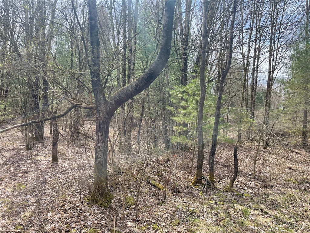 0 Austin Road Altmar, NY 13302 - Photo 6 of 8