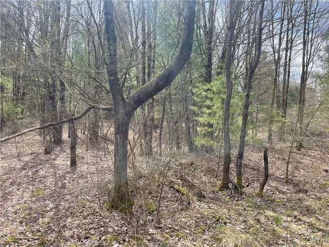 $38,500 | 0 Austin Road, Altmar, NY 13302