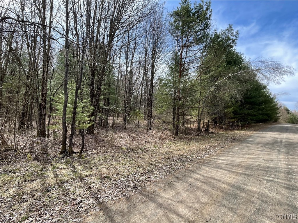 0 Austin Road Altmar, NY 13302 - Photo 8 of 8