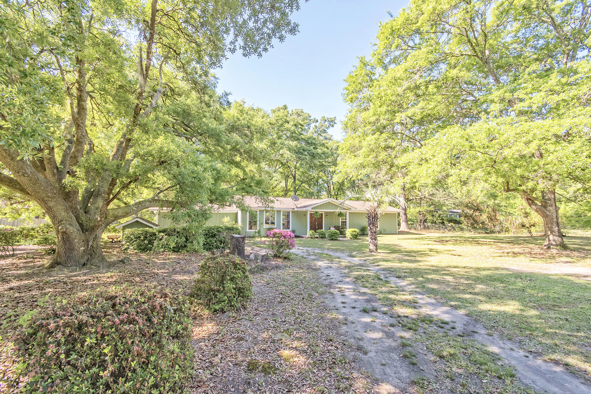 5813 Old Jacksonboro Road Ravenel, SC 29470 - Photo 33 of 46 DSC_4747