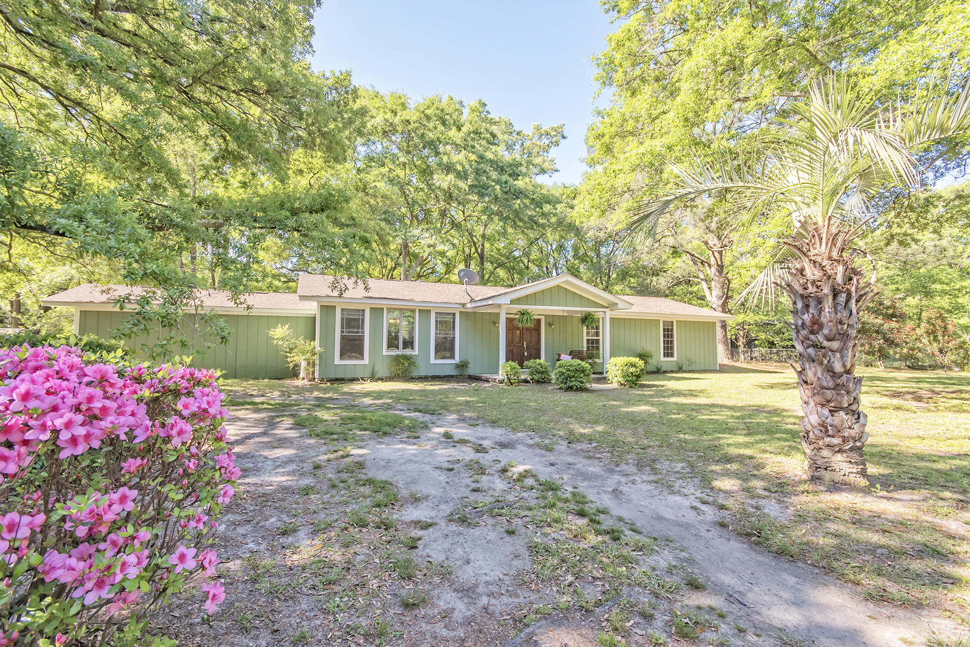 5813 Old Jacksonboro Road Ravenel, SC 29470 - Photo 34 of 46 DSC_4748