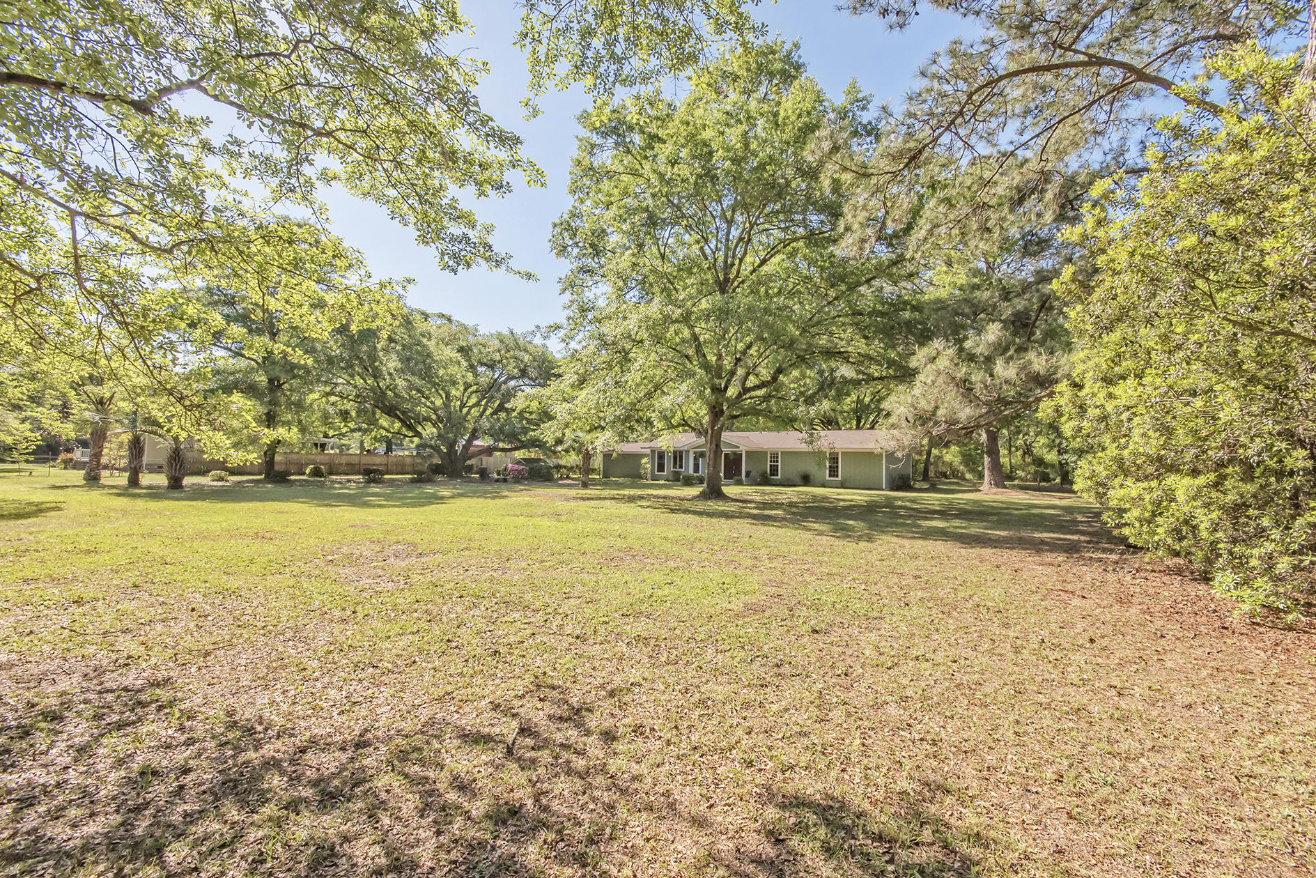 5813 Old Jacksonboro Road Ravenel, SC 29470 - Photo 35 of 46 DSC_4750