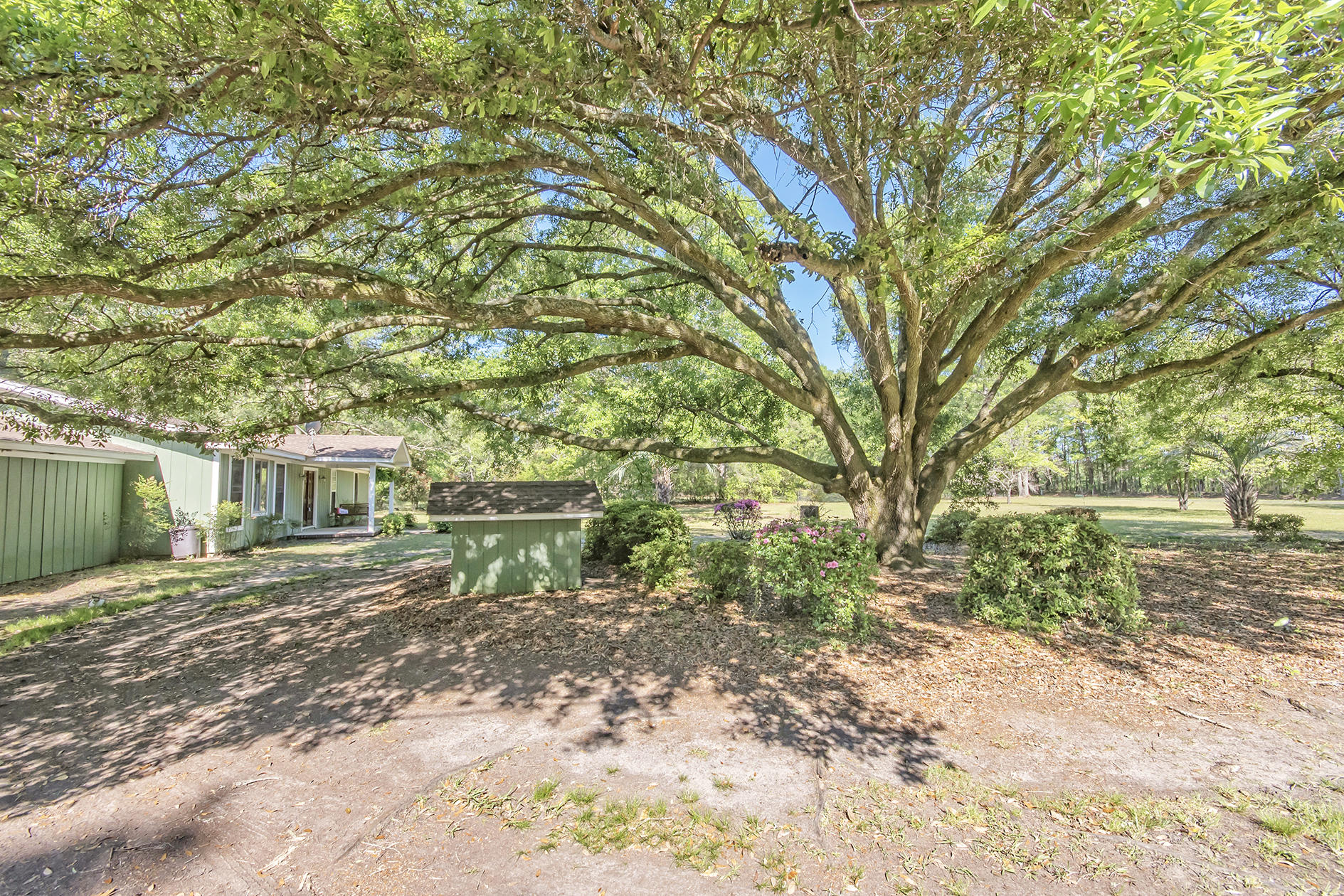 5813 Old Jacksonboro Road Ravenel, SC 29470 - Photo 39 of 46 DSC_4755