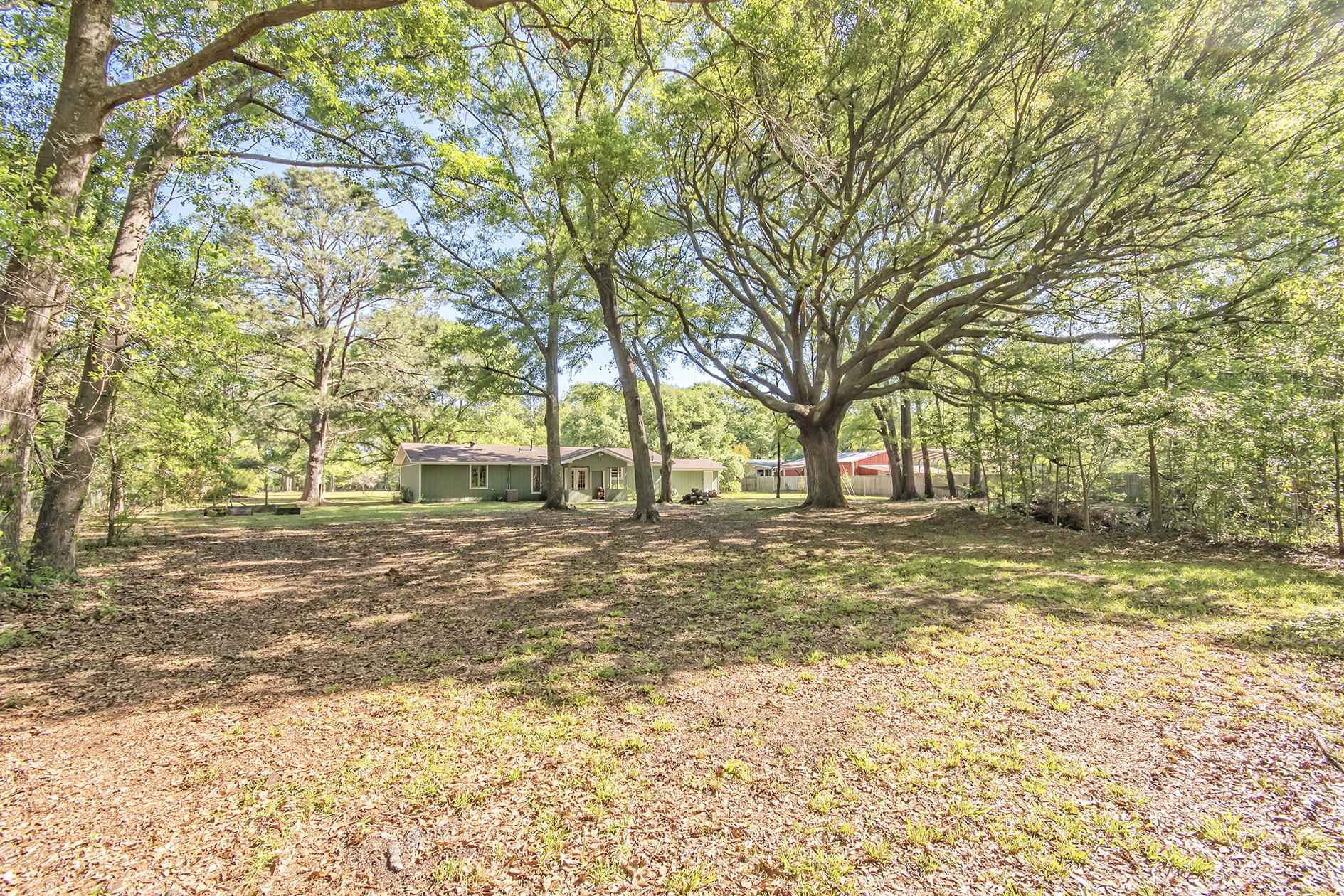 5813 Old Jacksonboro Road Ravenel, SC 29470 - Photo 43 of 46 DSC_4761