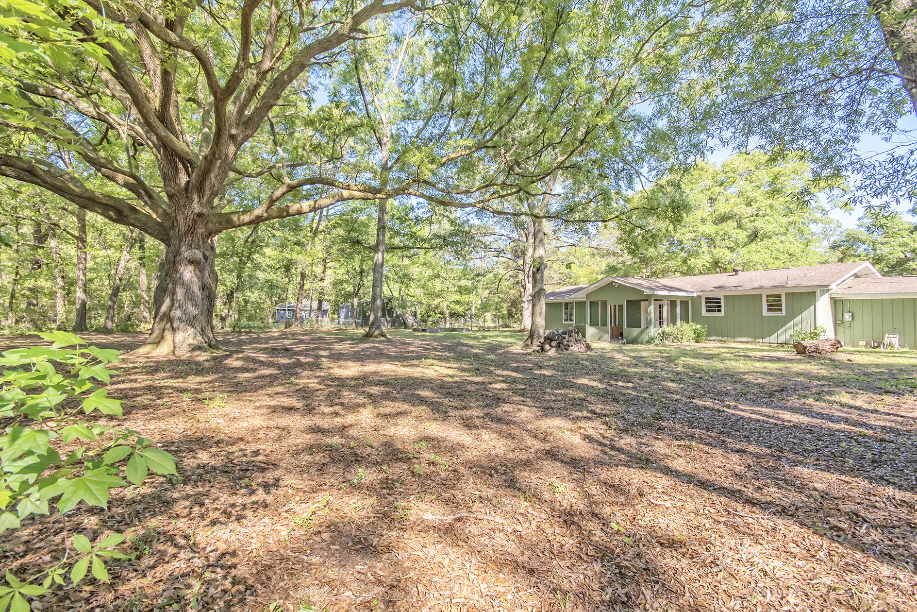5813 Old Jacksonboro Road Ravenel, SC 29470 - Photo 44 of 46 DSC_4763