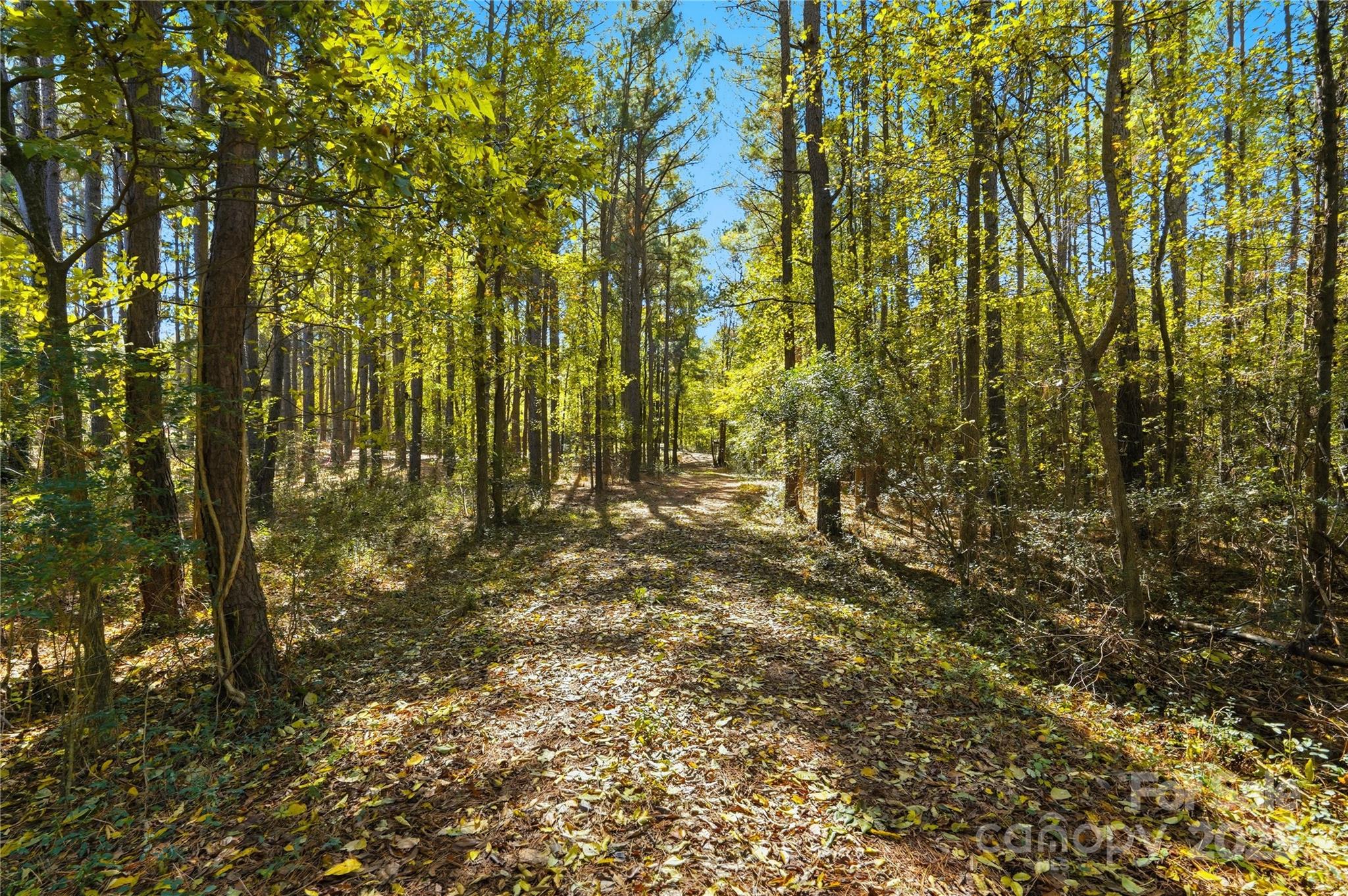 0 Landsford Road, Unit 1 Marshville, NC 28103 - Photo 2 of 9