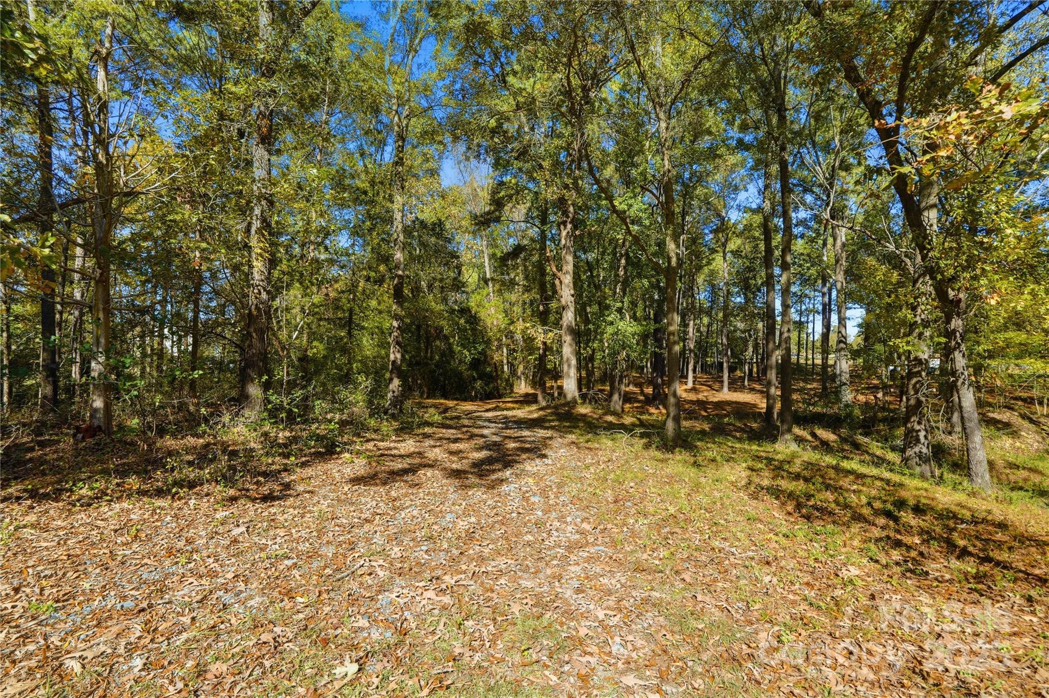 0 Landsford Road, Unit 1 Marshville, NC 28103 - Photo 3 of 9