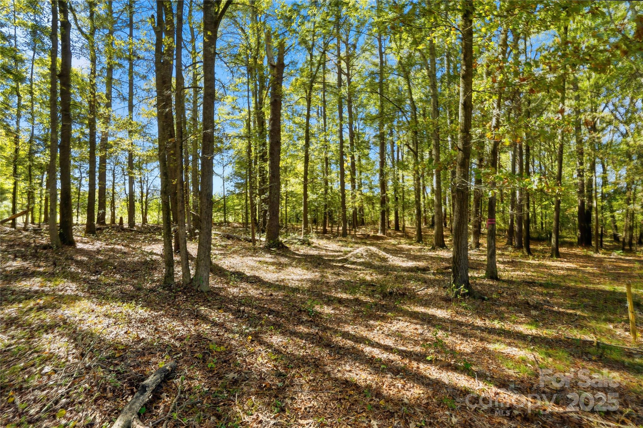 0 Landsford Road, Unit 1 Marshville, NC 28103 - Photo 5 of 9