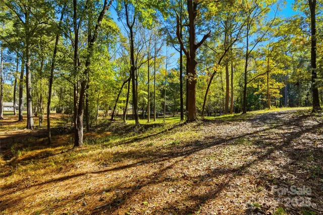 a view of a backyard with large trees