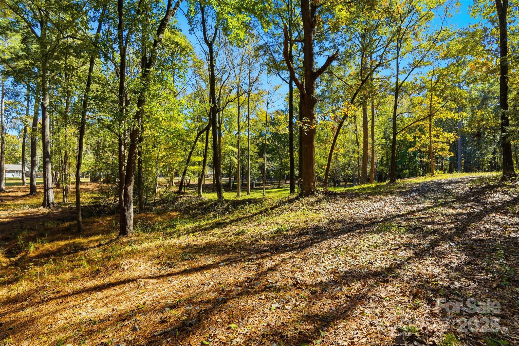 0 Landsford Road, Unit 1 Marshville, NC 28103 - Photo 6 of 9